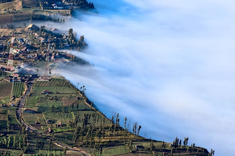 Le risaie terrazzate di Giava avvolte da una coltre di nebbia mattutina. Le risaie sono un elemento iconico del paesaggio indonesiano e rappresentano l'importanza dell'agricoltura tradizionale nella vita quotidiana del paese.