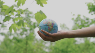 From Data to Greener Decisions