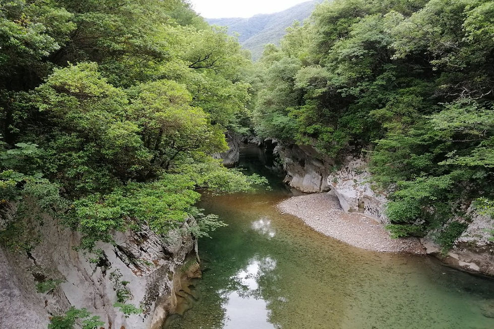 Grotte di Pertosa-Auletta