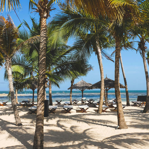 Malindi in Kenya: viaggio tra oceano, Rovine di Gede e Mida Creek