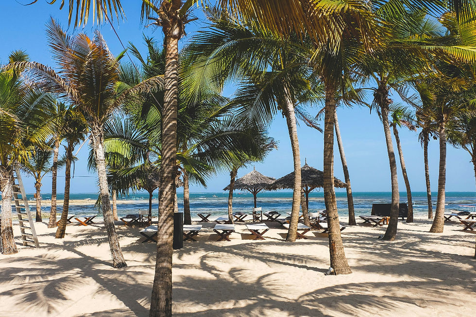 Spiaggia tropicale di Malindi in Kenya con palme, lettini e oceano sullo sfondo.