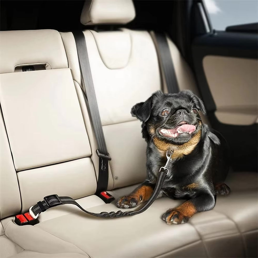 Dog  Car Seat belt