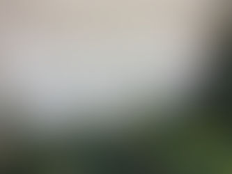 2020: the year of no fear