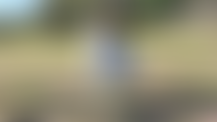 Stolen Fibreglass Sheep Unites the Community