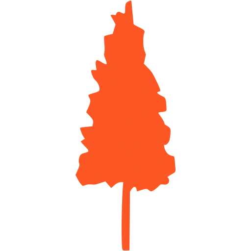 orange pine tree icon