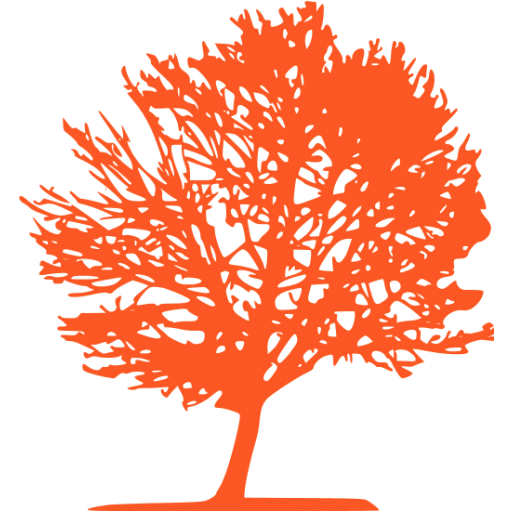 orange tree icon