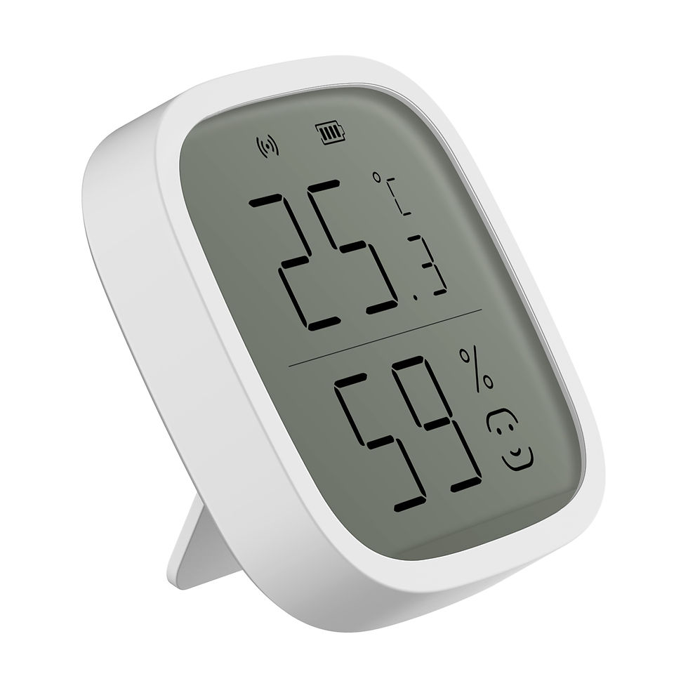 縮圖：iHORN Temperature and Humidity Sensor