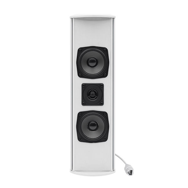 縮圖：DSPPA POE255II POE Network Weather Resistant Column Speaker