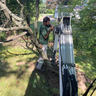 DC Lawn Care