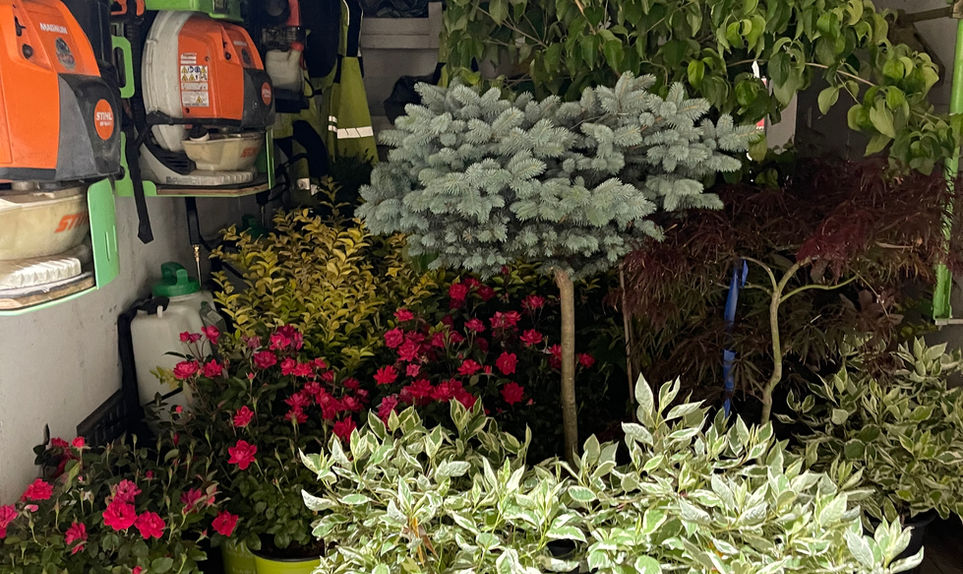DC Lawn Care