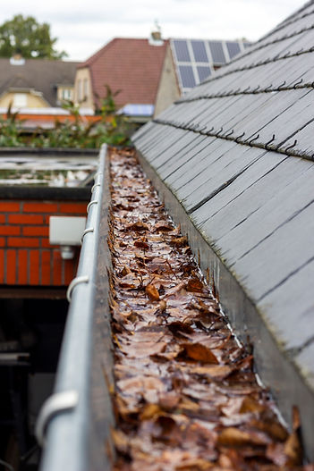 bigstock-A-Portrait-Of-A-Clogged-Roof-G-463740033.jpg