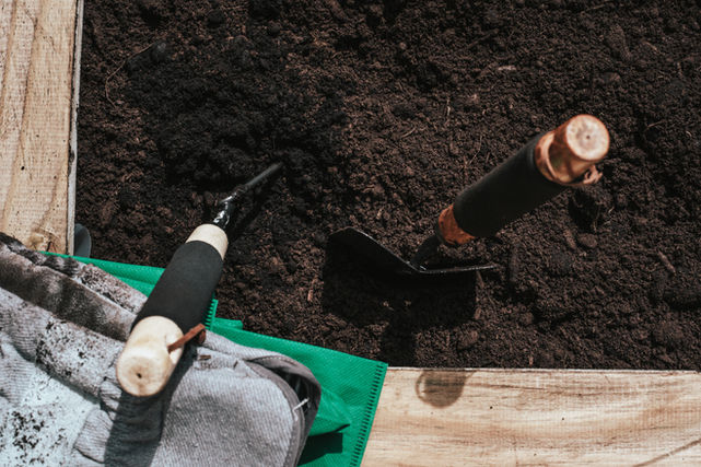 Gardening trowels in soil, ready for landscaping