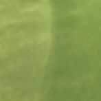 golf course grass background.jpg