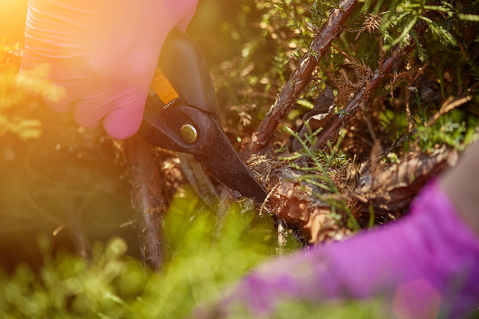 Pruning Demystified