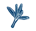 White hand-drawn sketch of a sprig with several leaves
