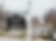 aurora.webp