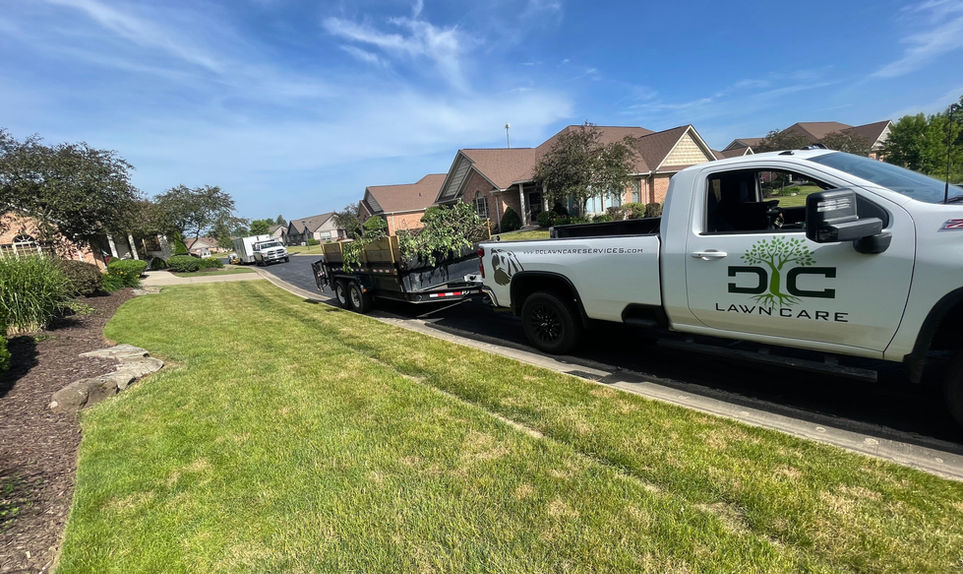 DC Lawn Care