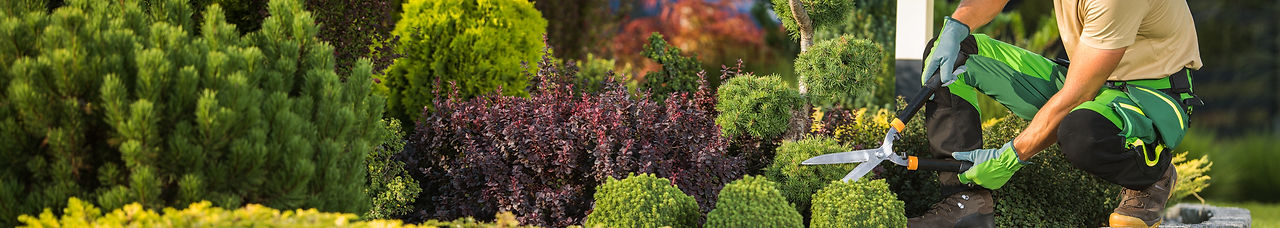 landscape-garden-maintenance-professional-work.jpg