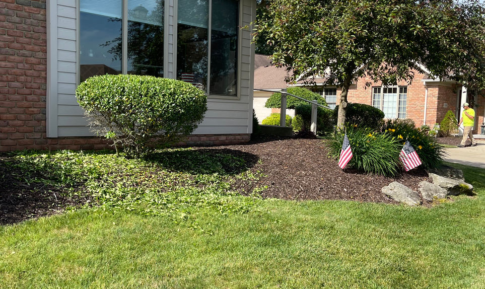 DC Lawn Care