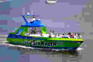 Fort Myers Beach speed boat tour