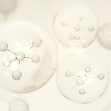 by dr lidia poppe (Video) (2).png