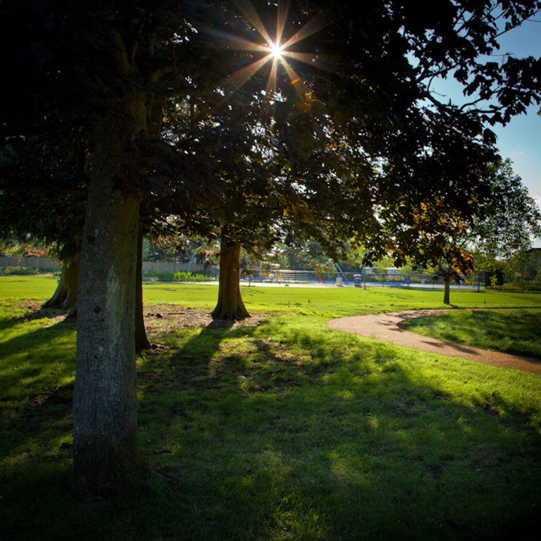 *BRAND NEW*  Puppy’s Daily Adventures - Hillworth Park, Various Dates, £60