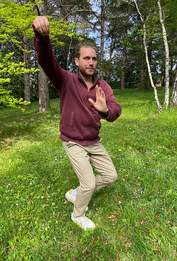 Tai chi chuan - Mouvement Subtil