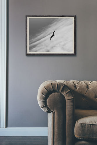 Wallderful horizontal freebieee.jpg