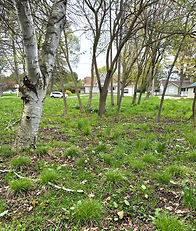 Vacant Lot in Onekama