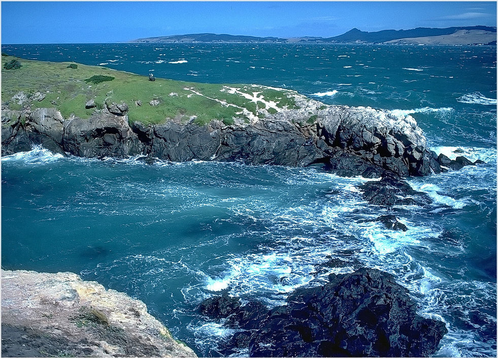 Homepage-Neuseeland-Analog 2001-004.JPG