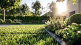 medium-vecteezy_ai-generated-the-garden-is-a-beautiful-setting-for-the-summer_41324734_med