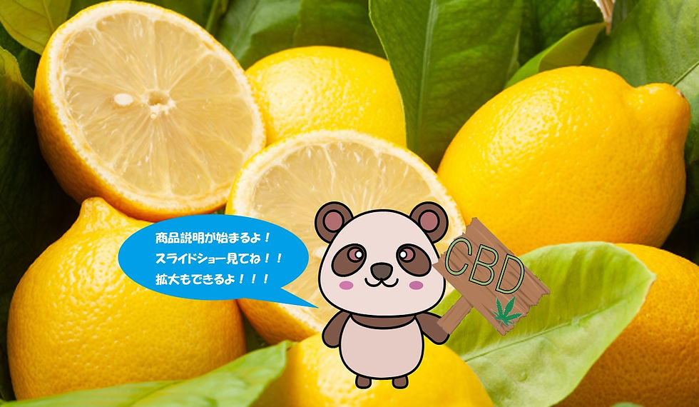 レモン1.jpg