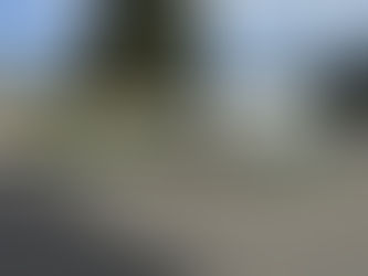 White boats on a green PRC trailer