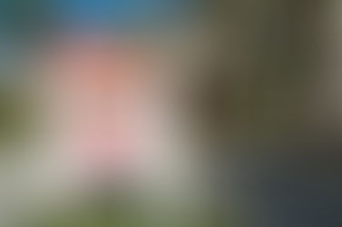 Start Staging from the Curb