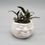 Thumbnail: "Ohm" Sculpture Pot