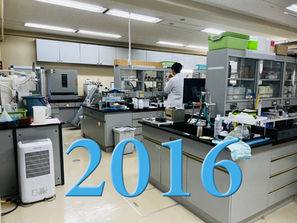 2016年度 長谷部研究室メンバー