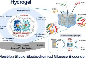 Bioelectrochemistry誌に載録