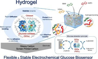 Bioelectrochemistry誌に載録