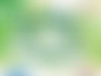 第22回若手研究フォーラム最優秀口頭発表賞を受賞