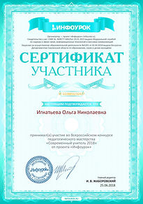 Сертификат участника проекта infourok.ru
