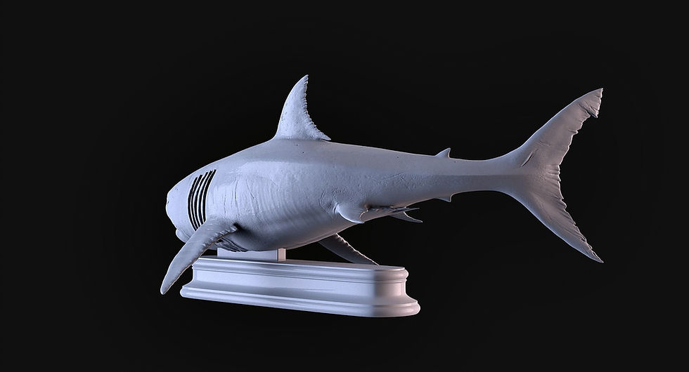 Thumbnail: White Shark