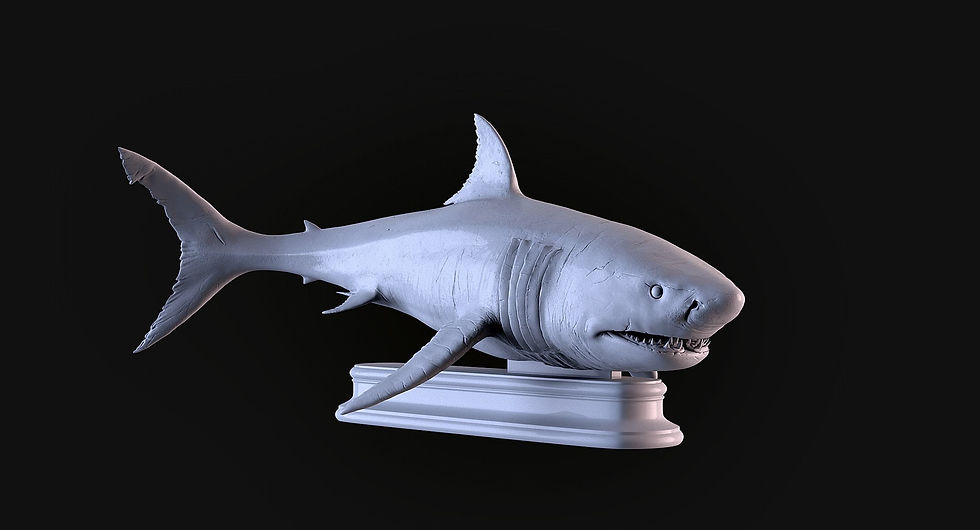 Thumbnail: White Shark