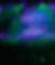 6J8A5837.jpg
