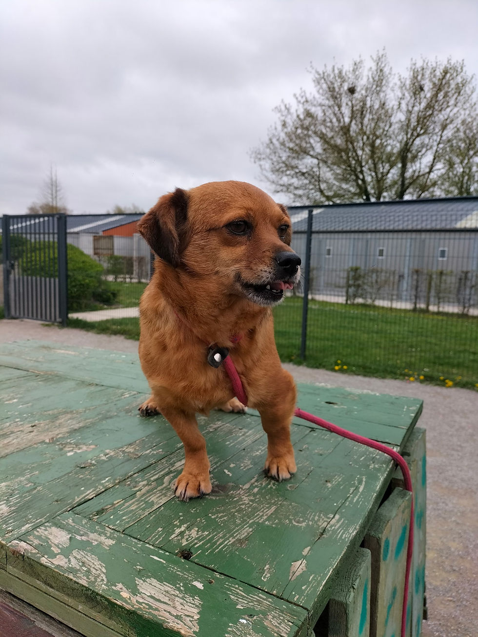 476837509_638165578741183_32050717445841