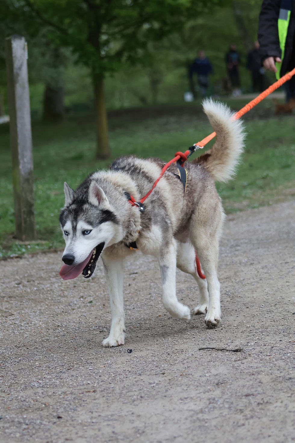 476837509_638165578741183_32050717445841