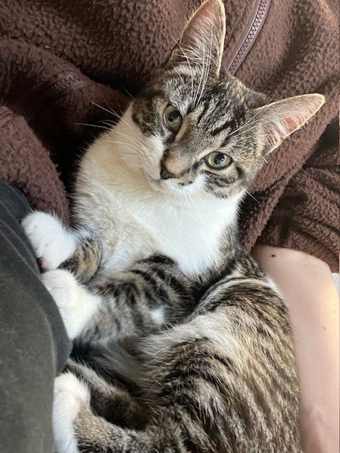 476837509_638165578741183_32050717445841