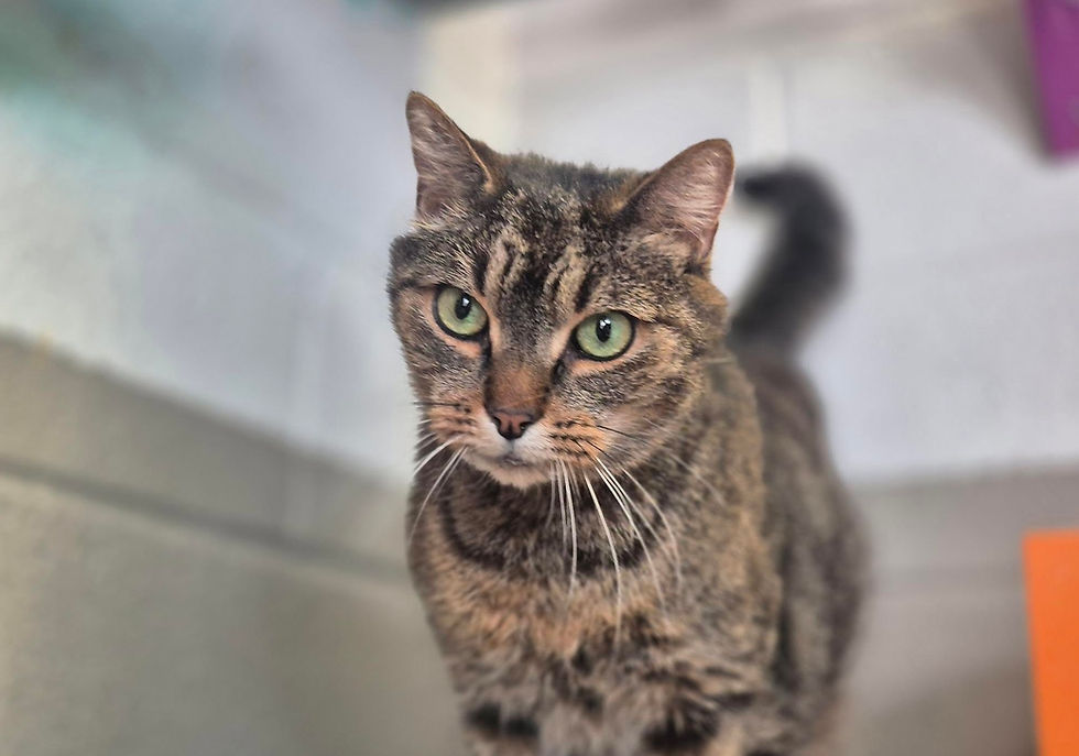 476837509_638165578741183_32050717445841