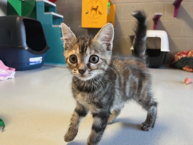 476837509_638165578741183_32050717445841