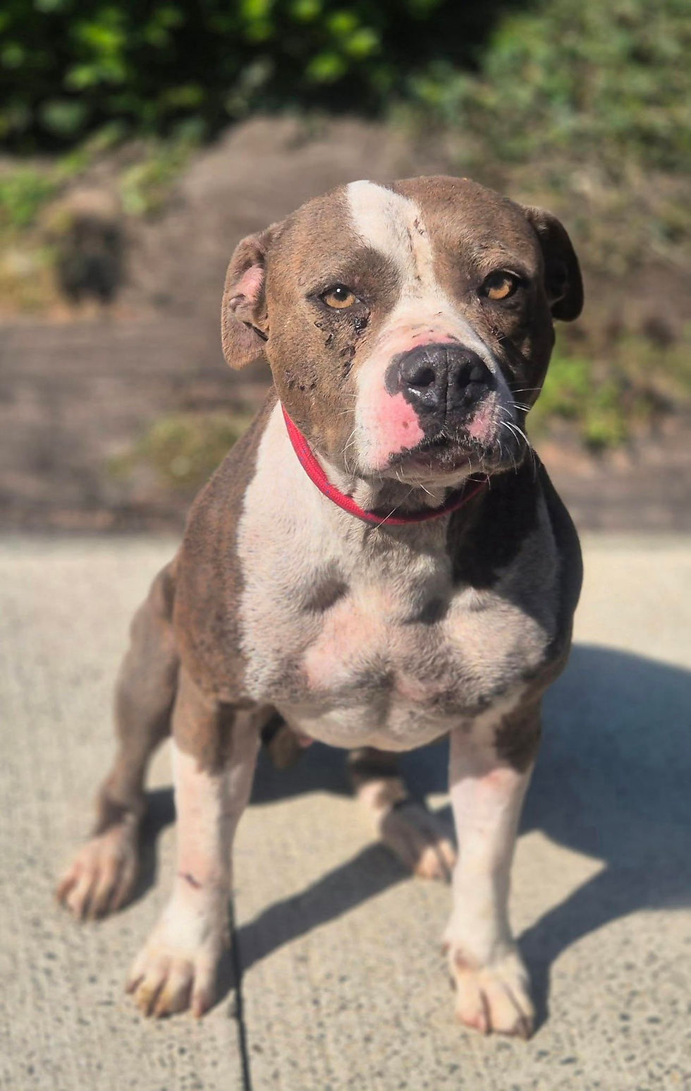 476837509_638165578741183_32050717445841