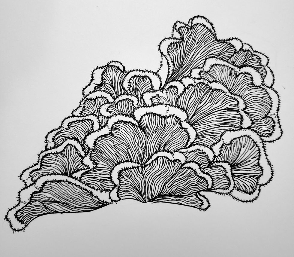 Fungus Pt.3